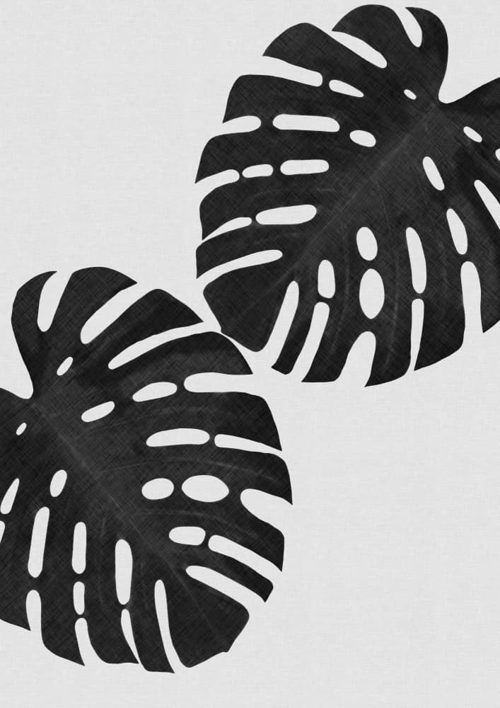 Minimalist Monstera Leaves by Orara Studio — canvas wall art