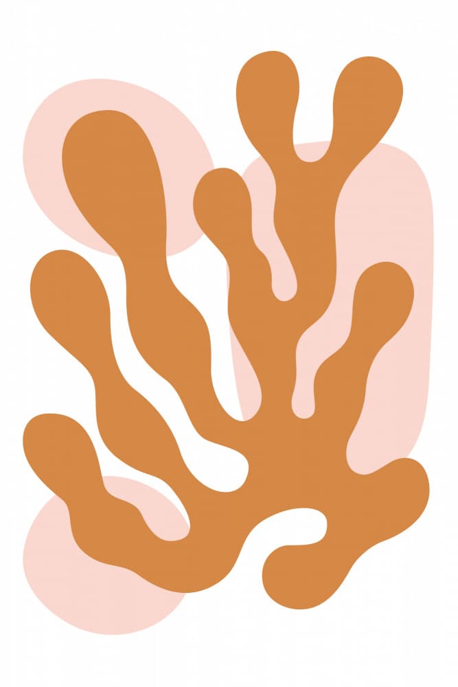 Organic Terracotta Shapes by jay stanley — canvas wall art