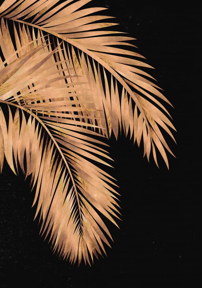 Golden Tropical Palms by Sarah Manovski — canvas wall art