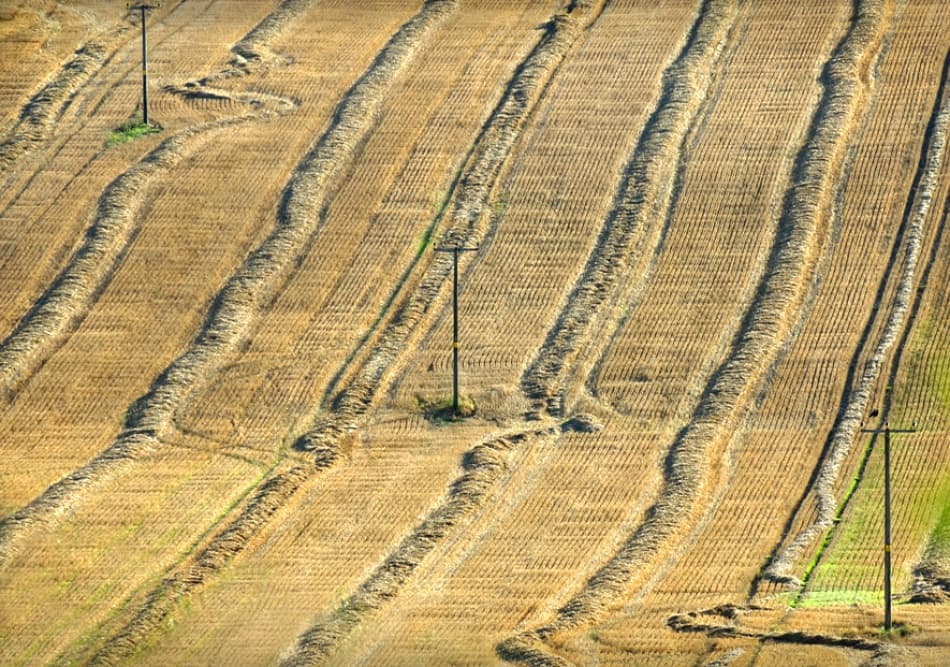 Golden Harvest Patterns by Clive Collie — canvas wall art
