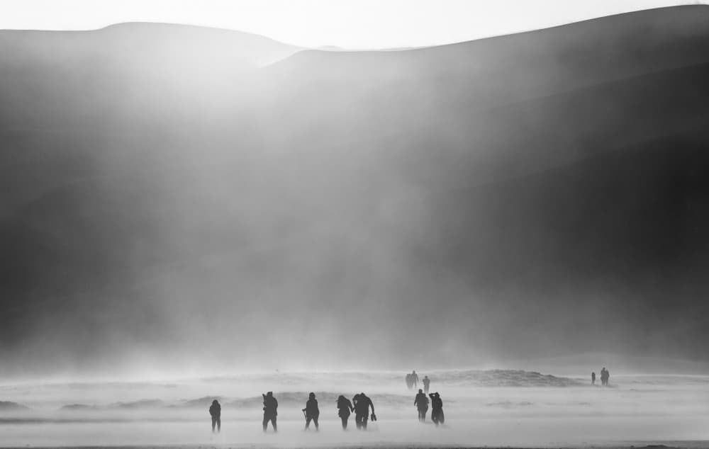 Misty Desert Silhouettes by Q Liu — canvas wall art