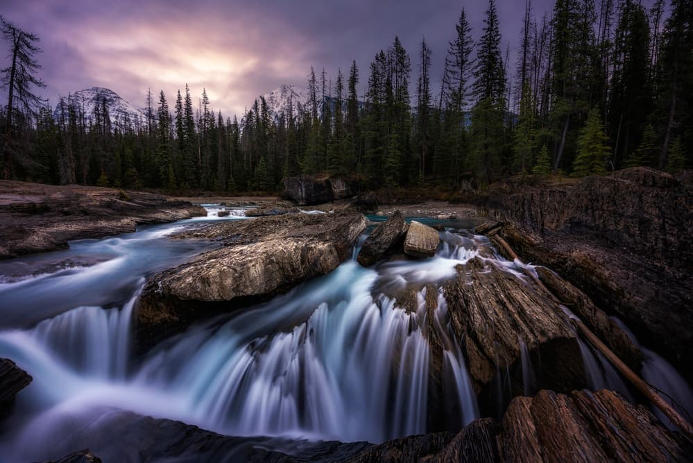 Moody Mountain River by Jorge Ruiz Dueso — canvas wall art