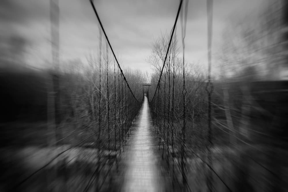 Mystery Forest Bridge by Catalin Alexandru — canvas wall art