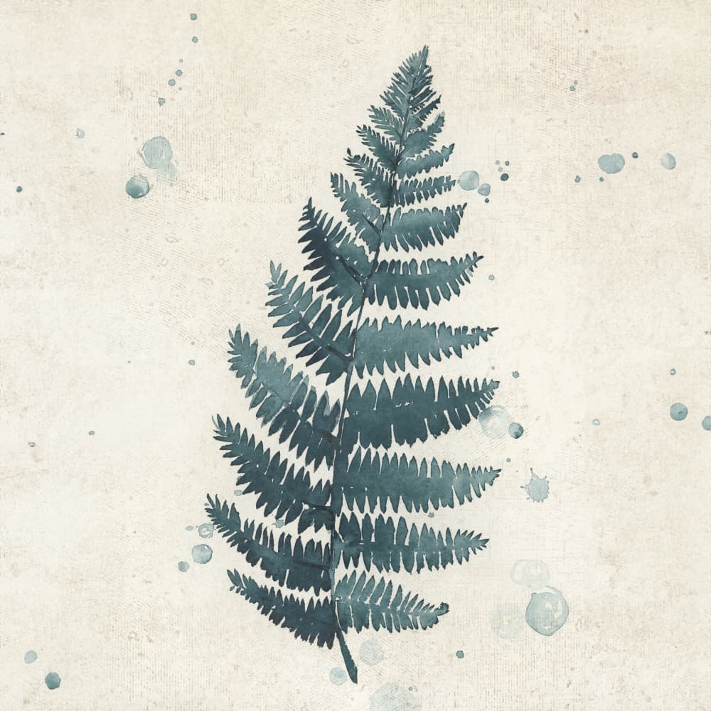 Teal watercolor fern 3 by Rosana Laiz Blursbyai — canvas wall art