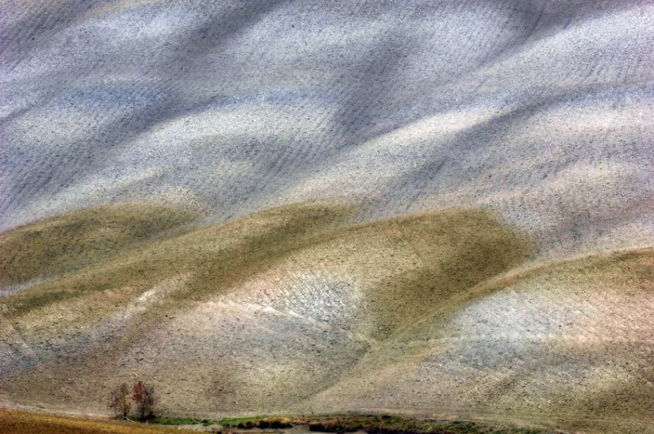Serene Wavy Fields by Jure Kravanja — canvas wall art