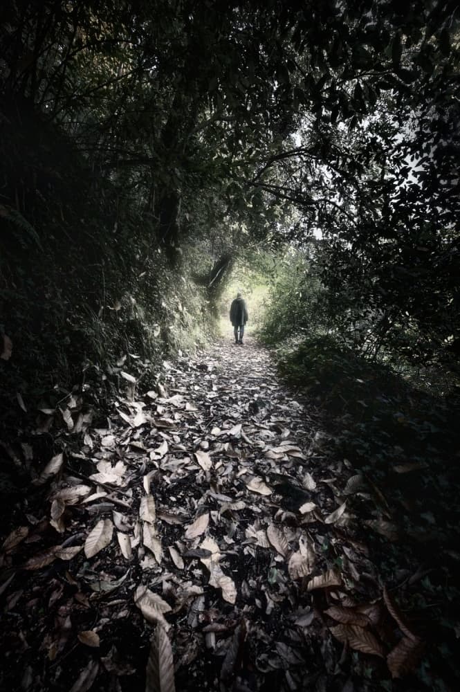 Path Into Light by Santiago Pascual Buye — canvas wall art