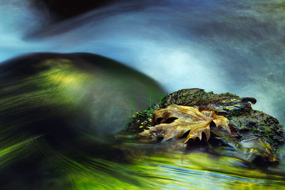 Autumn Leaf Stream Flow by Maria Kaimaki — canvas wall art