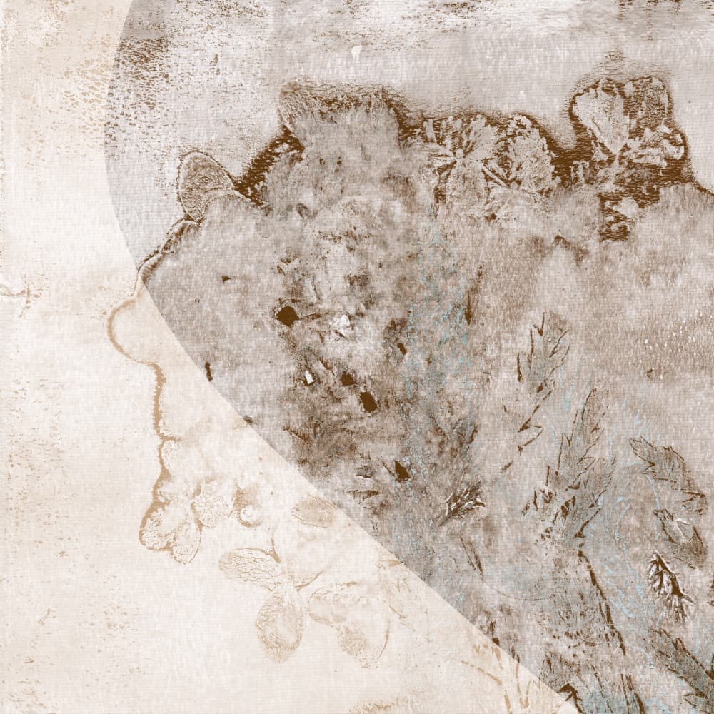 Faded Botanical Impressions