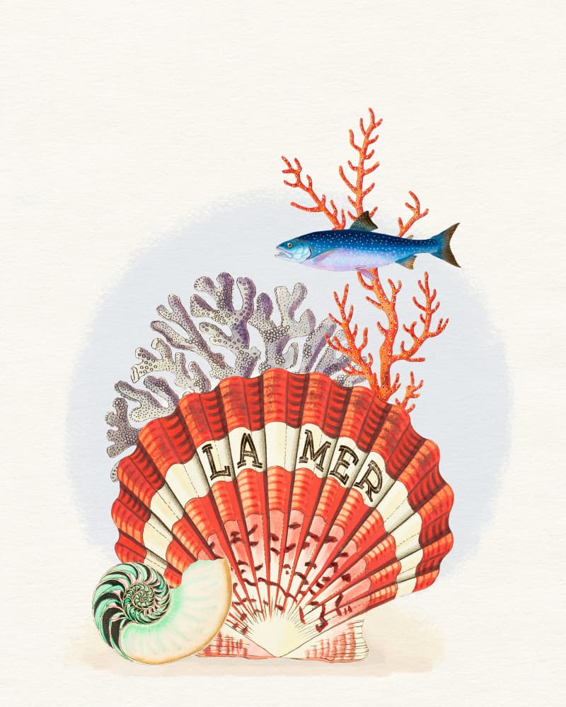 La Mer Marine Treasures by Wild Violets — canvas wall art