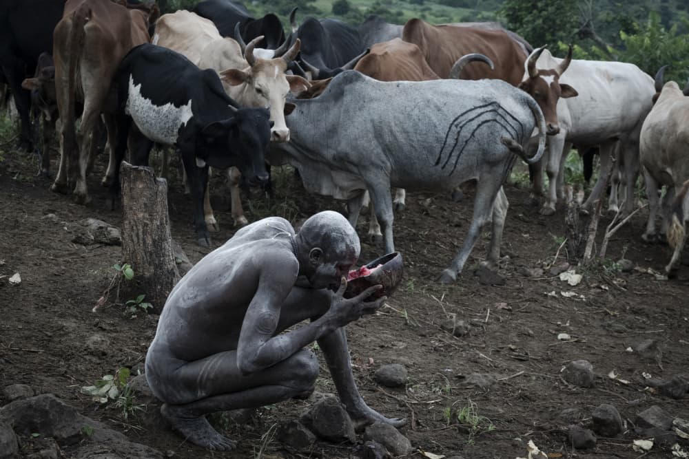 Tribal Man Drinking With Cows by Elena Molina — canvas wall art
