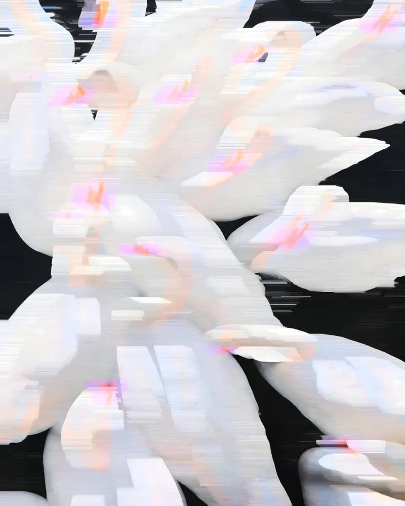Soft Glitch Bodies by Uma Gokhale — canvas wall art