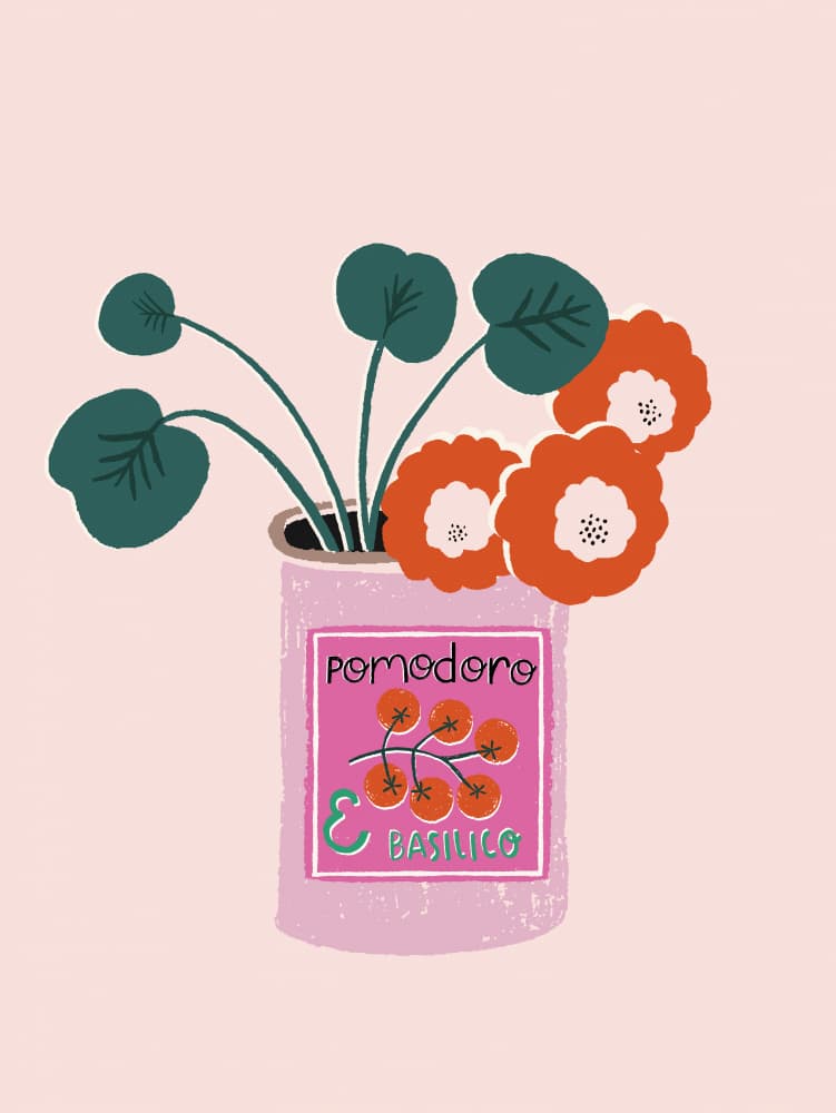 Pink Pomodoro Basilico by Aislinn Simmonds — canvas wall art