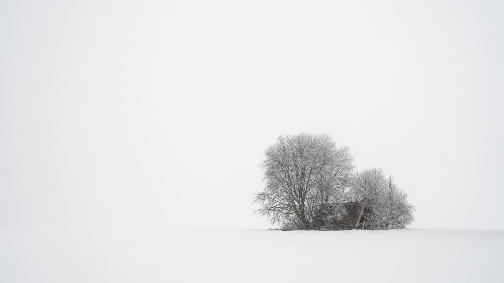Isolated Snowy Shack by Tom Meier — canvas wall art