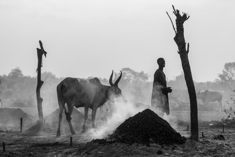 Smoky Rural Scene by Svetlin Yosifov — canvas wall art
