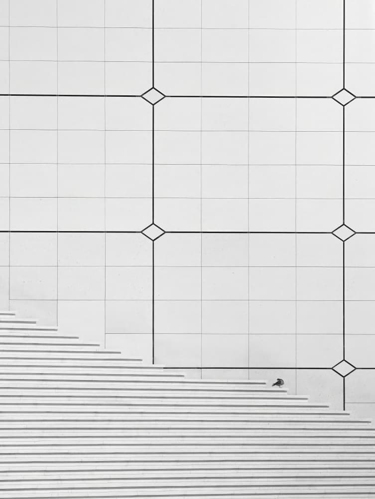 Bird on Geometric Staircase by Frank Bruynseraede — canvas wall art