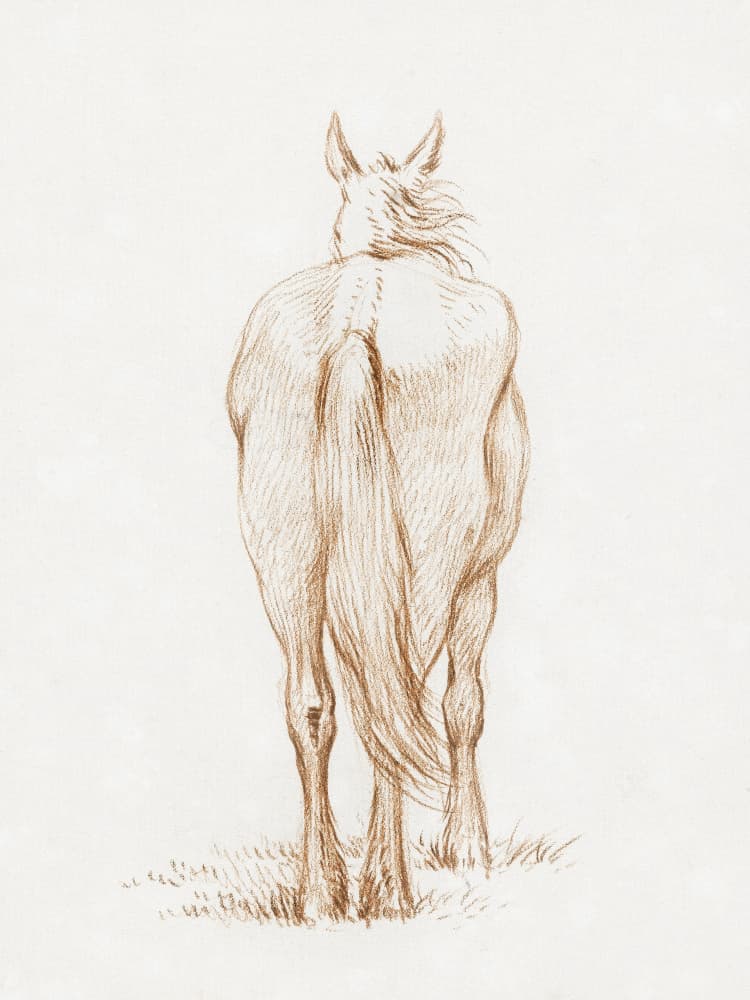 Standing Horse (1815) By Jean Bernard