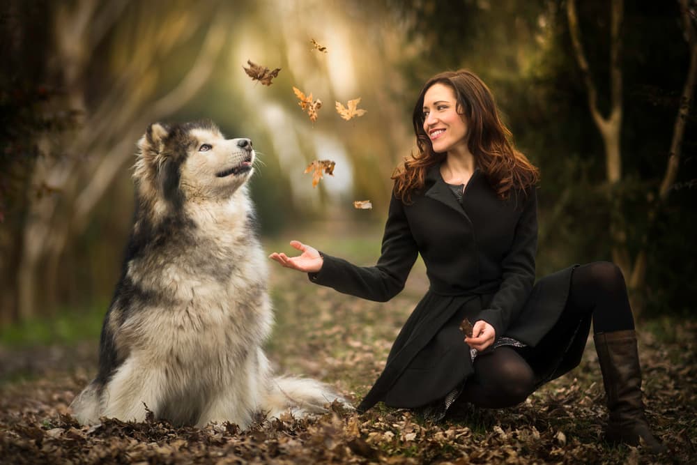 Happy Autumn Companions by Alberto Ghizzi Panizza — canvas wall art