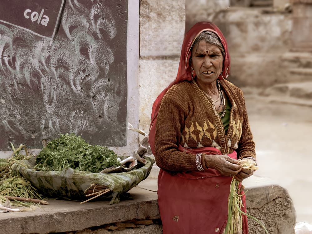 Indian Street Vendor by Eden Antho — canvas wall art