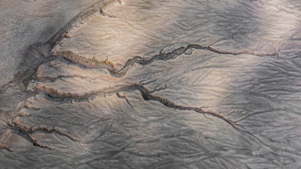 Intricate Earth Flow by Jacek Swiercz — canvas wall art