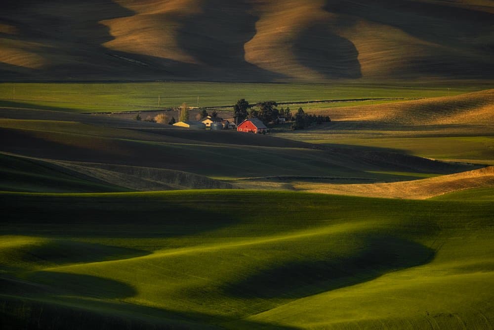 Red Barn Rolling Hills by Yun Thwaits — canvas wall art
