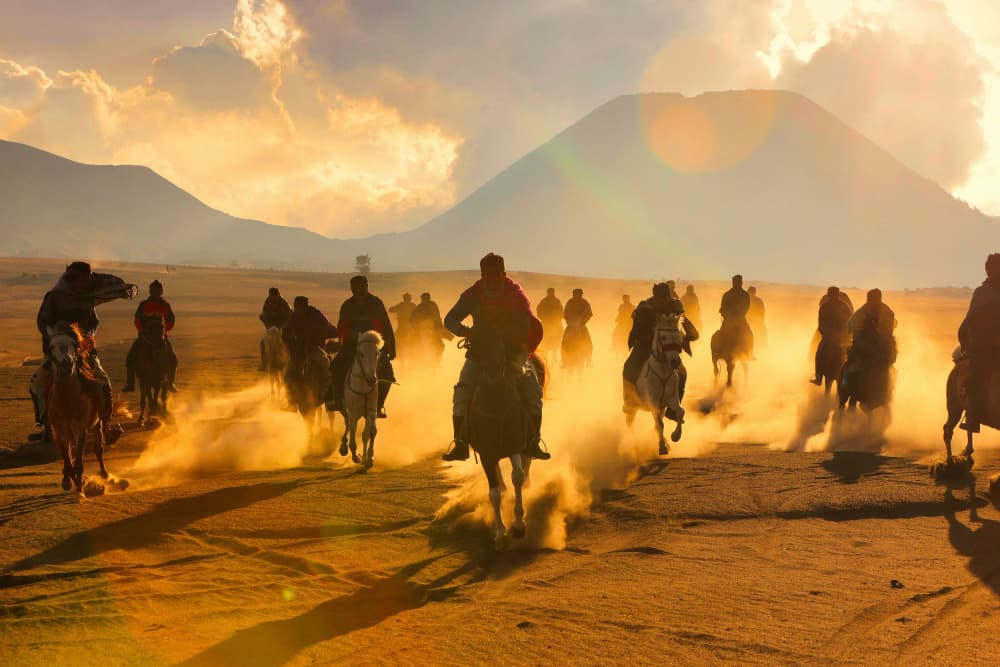 Galloping Horses Golden Hour by Agus Adriana — canvas wall art