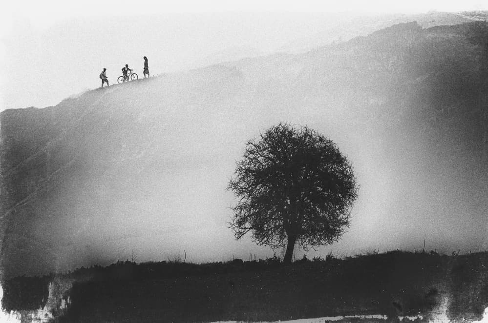 Misty Hill Climb by Desislava Ignatova — canvas wall art