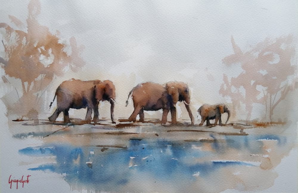 Peaceful Elephant Walk by Giorgio Gosti — canvas wall art