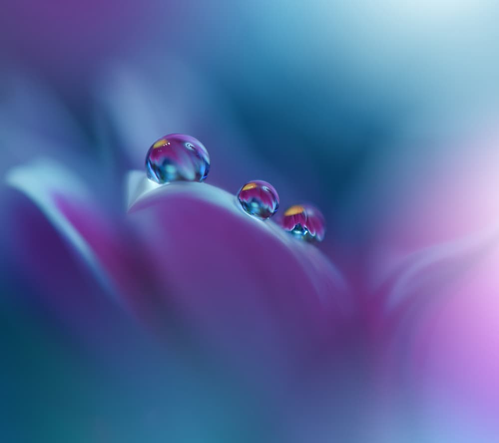 Memories of Sea..III by Juliana Nan — canvas wall art