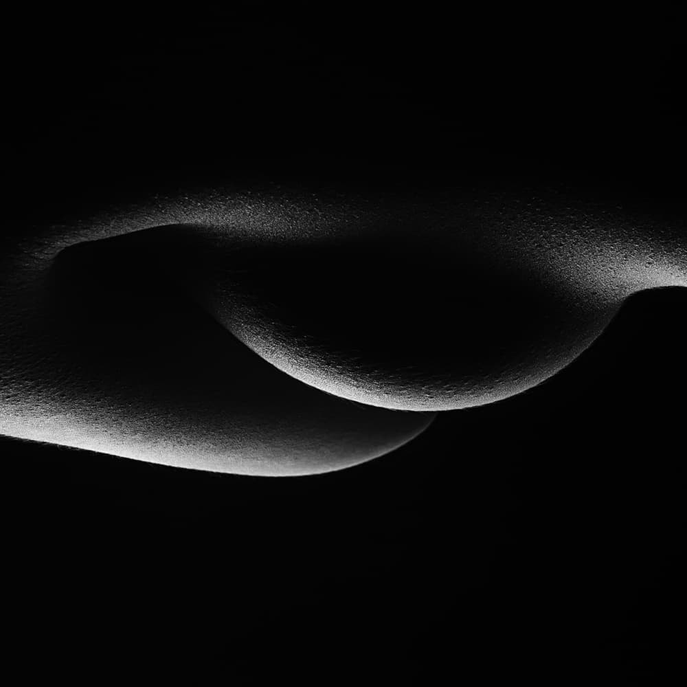 Abstract Sensual Forms by Pi Rain — canvas wall art