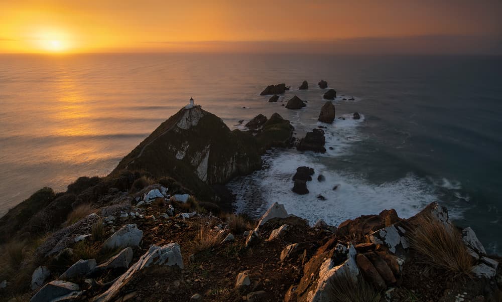 Nugget Point Golden Light by Yan Zhang — canvas wall art