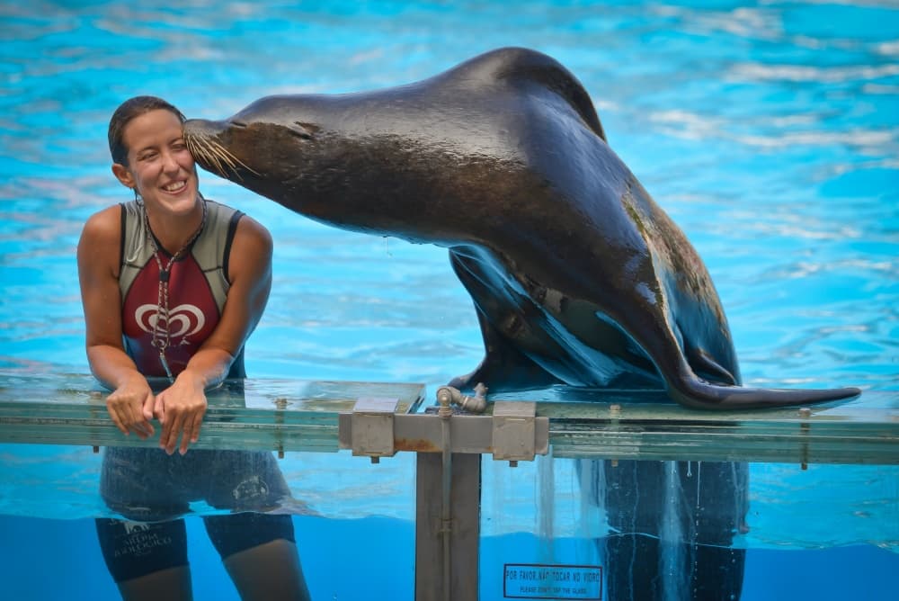 Friendly Sea Lion Kiss by Vlad Cioplea — canvas wall art