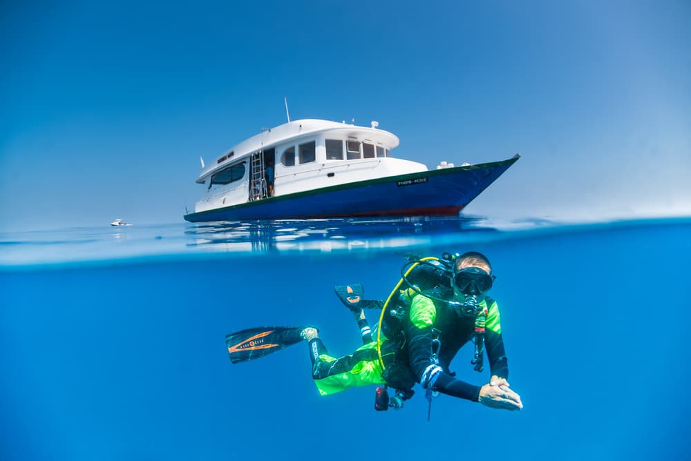 Above And Below Ocean by Roberto Marchegiani — canvas wall art