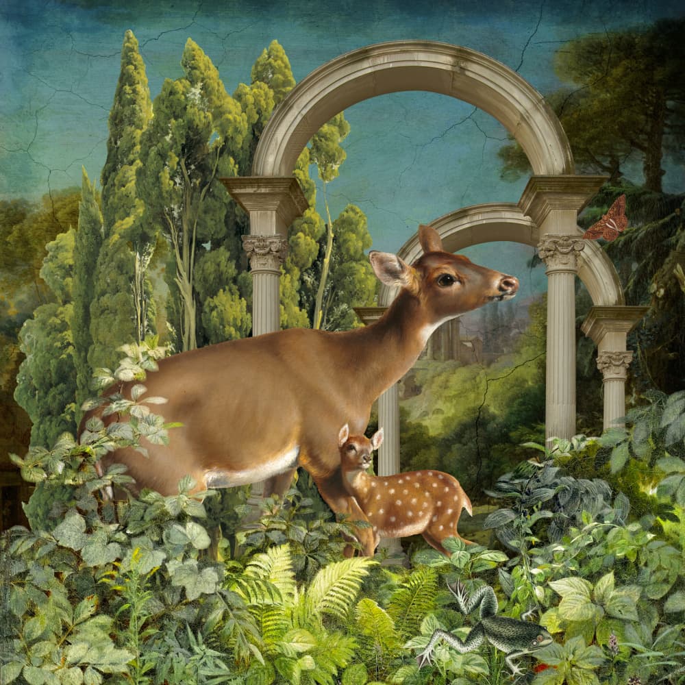 Deer Fawn Sanctuary by Marja van den Hurk — canvas wall art