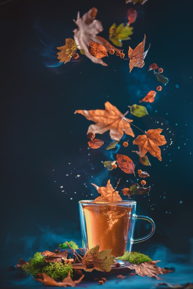 Autumn Tea Magic by Dina Belenko — canvas wall art