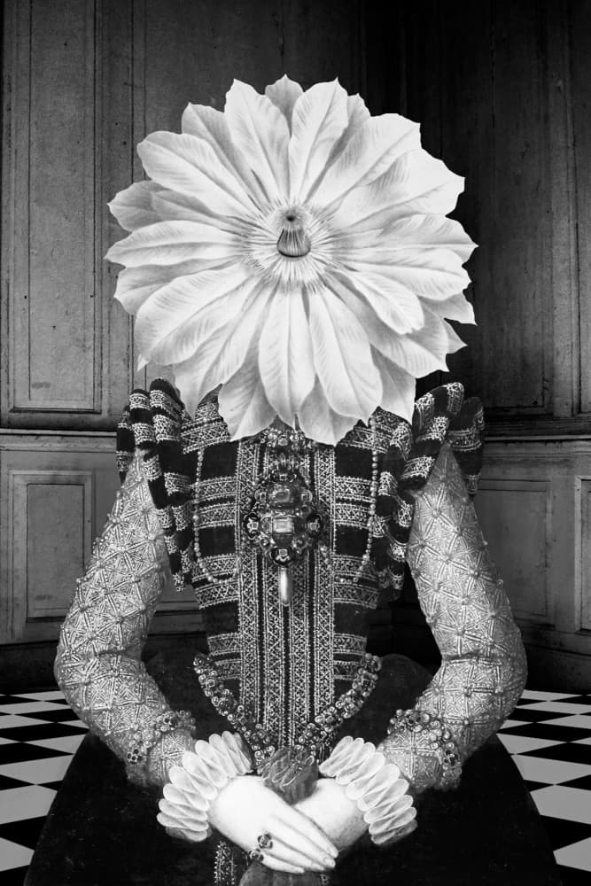 Elizabethan Flower Head by Marja van den Hurk — canvas wall art