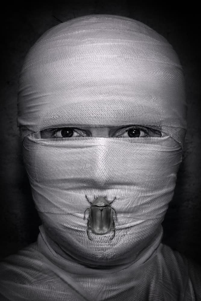Silent Scarab Portrait by Giorgio Toniolo — canvas wall art