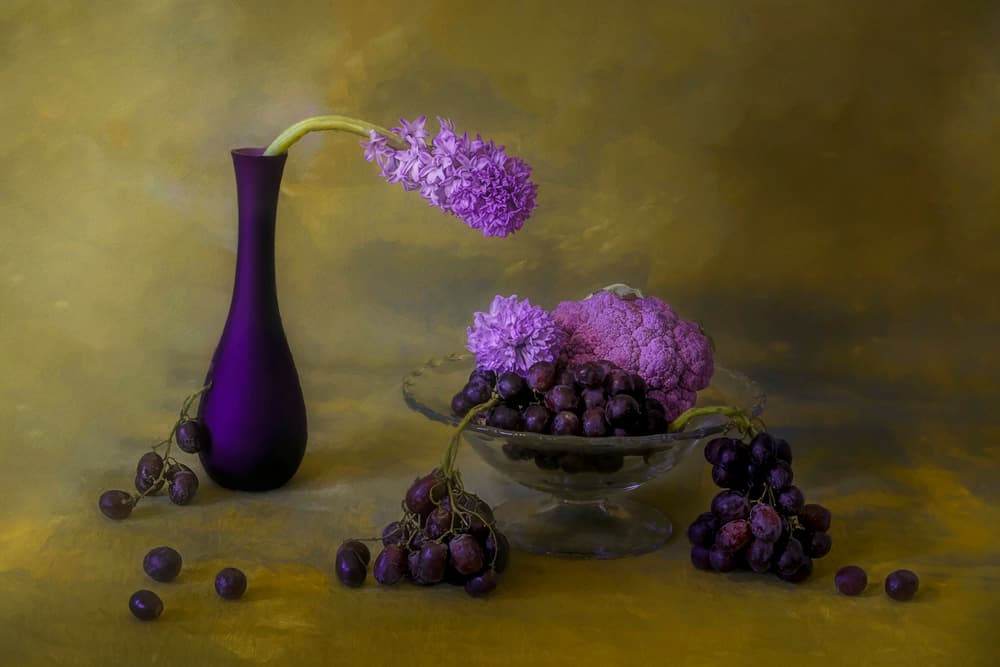 Opulent Purple Still Life by Lydia Jacobs — canvas wall art