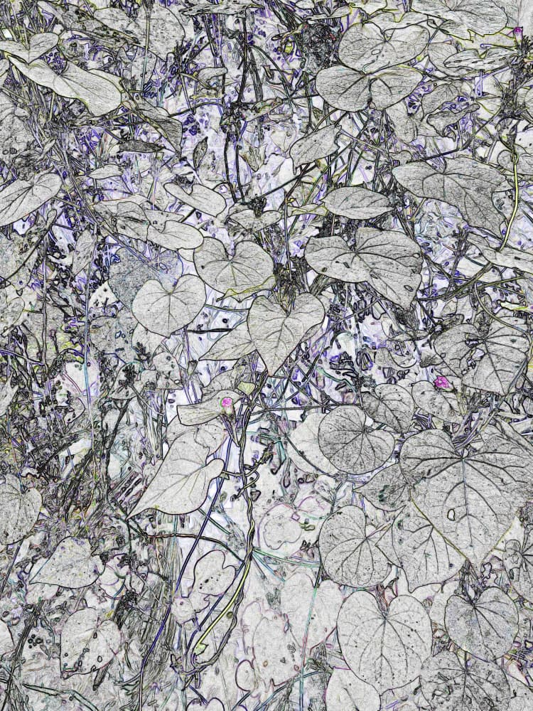 Wild Foliage Sketch by Santhosh ch — canvas wall art