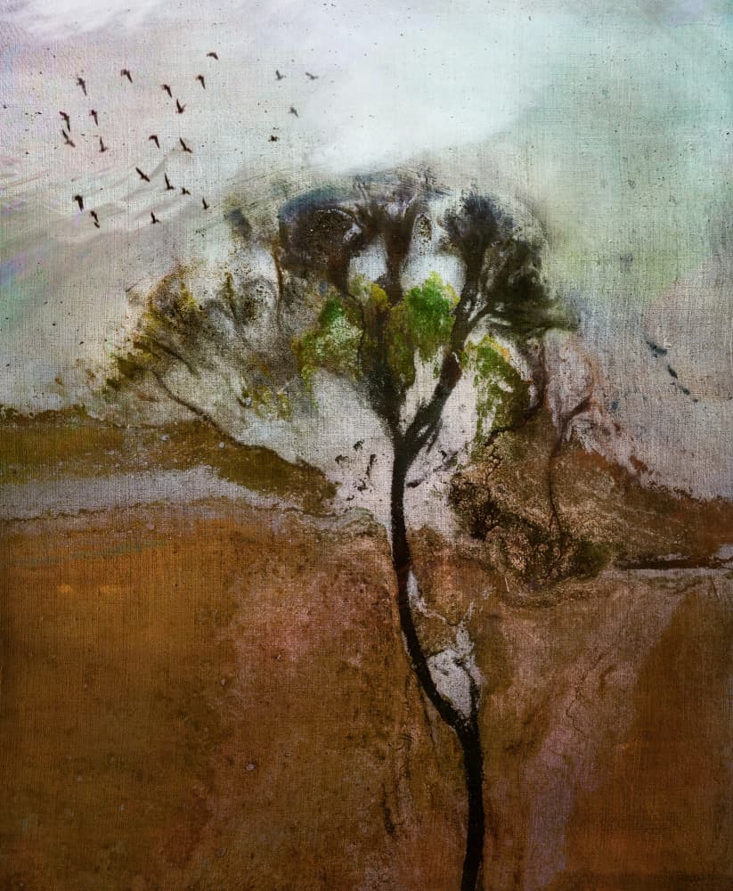 Windswept Tree Landscape by Shenshen Dou — canvas wall art