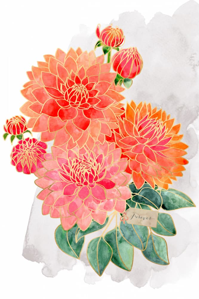 Vibrant Dahlia Forever by Rosana Laiz Blursbyai — canvas wall art