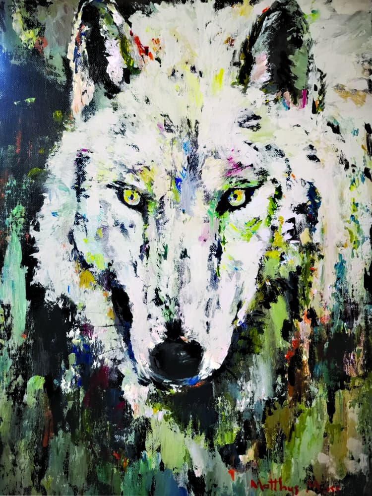 White Wolf Gaze by Matthys Moss — canvas wall art