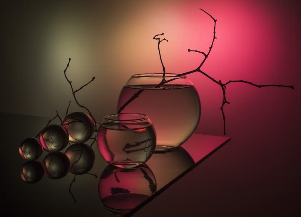 Pink Gradient Still Life by Evgeniy Popov — canvas wall art