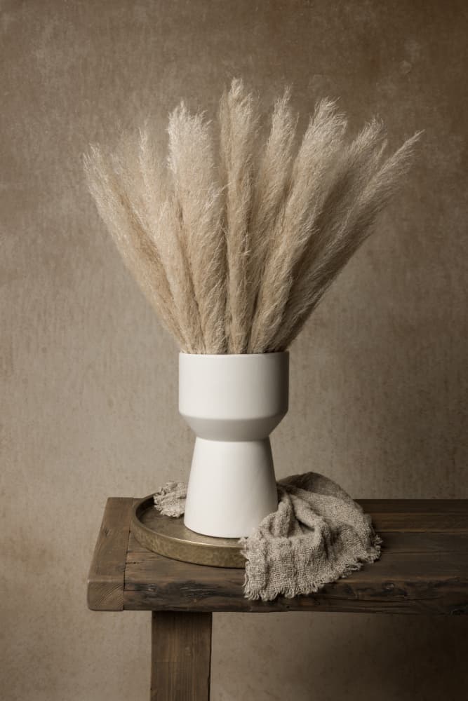 Modern Pampas Still Life by Mayra Pama — canvas wall art