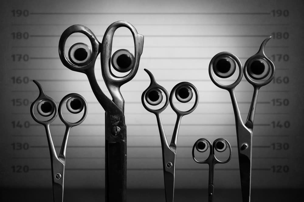 Funny Scissor Lineup by Victoria Glinka — canvas wall art