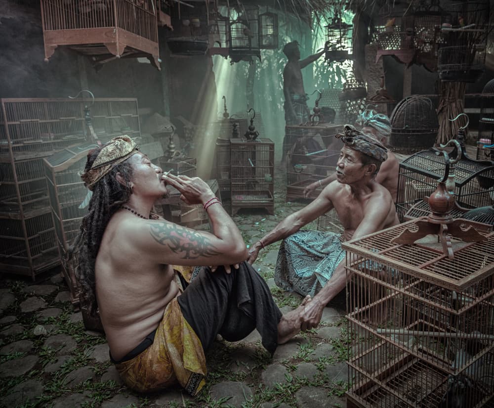 Traditional Birdcage Gathering by Fira Mikael — canvas wall art