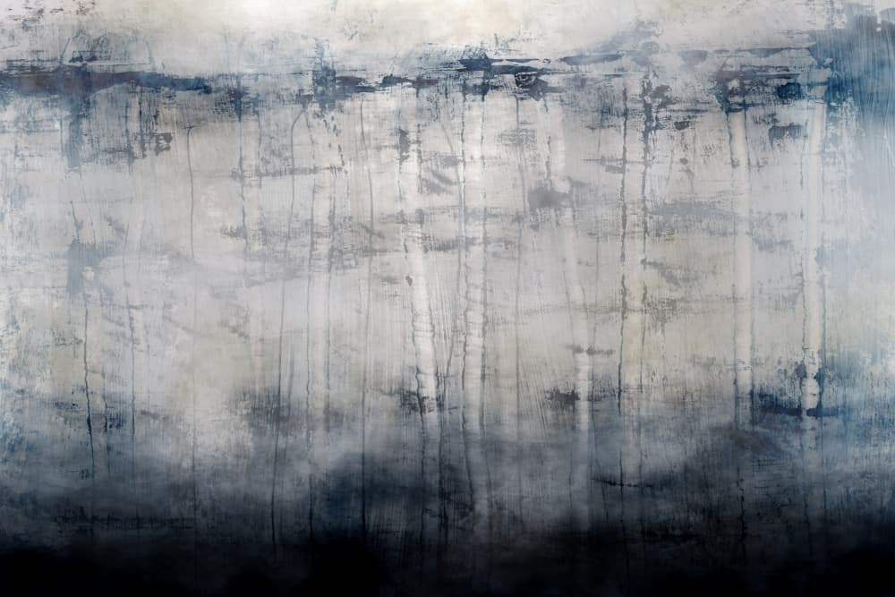 Birch Mist by Dan Hobday — canvas wall art