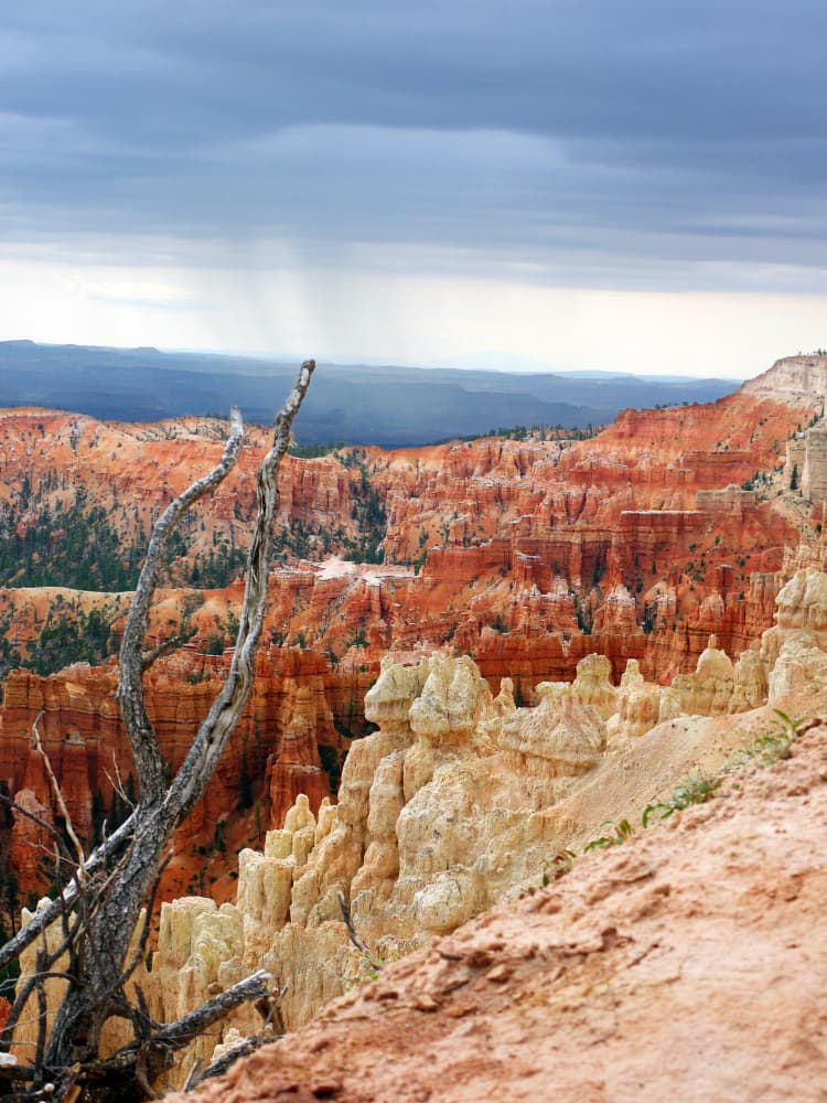 Red Rock Canyon Storm by kathrinmay — canvas wall art