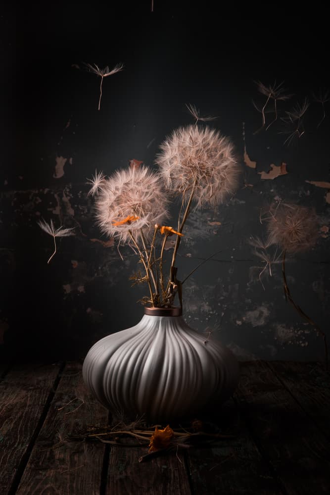 Ethereal Dandelion Still Life by Farid Kazamil — canvas wall art