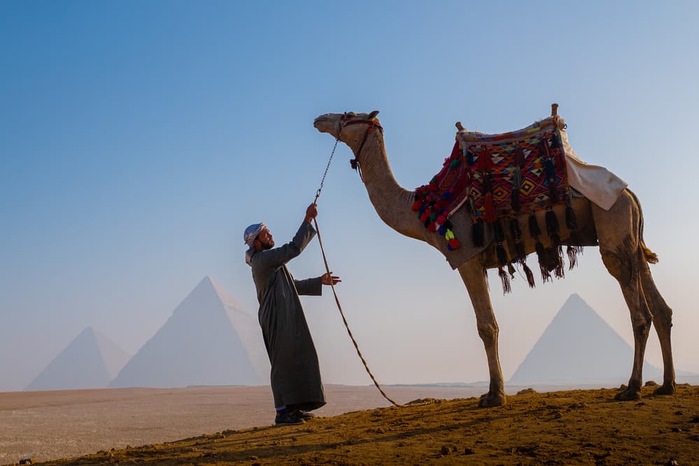 Egyptian Pyramids and Camel by Ali Khataw — canvas wall art