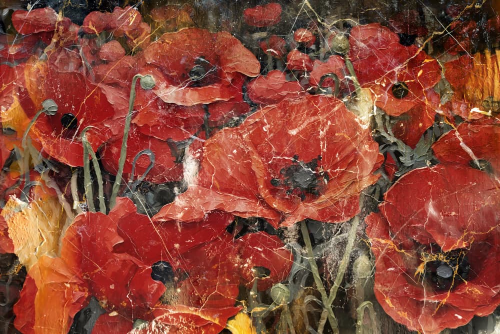 Rustic Red Poppies by Rafal Kulik — canvas wall art